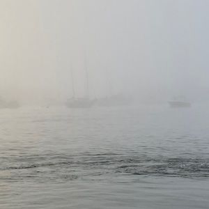 Meet your Posher, Andy